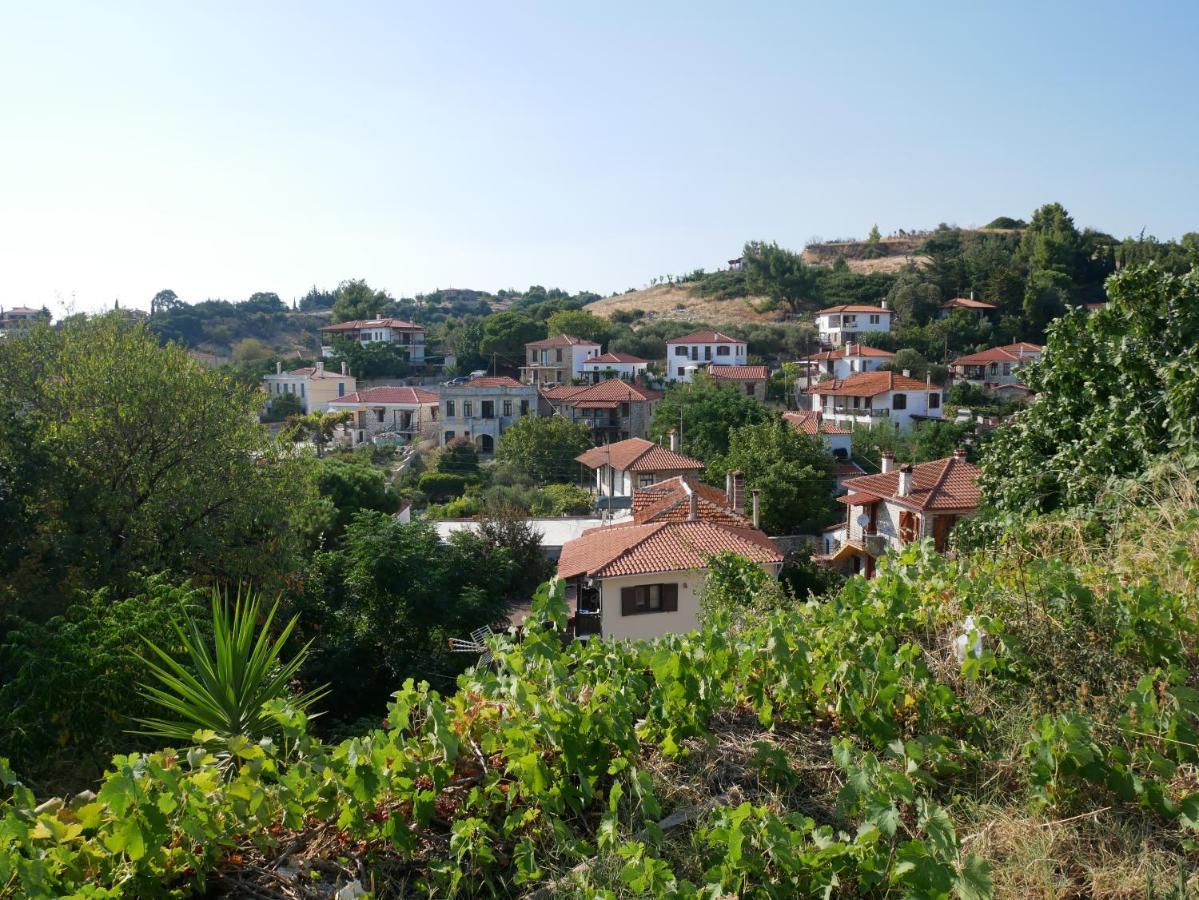 Casa Di Grigoris Villa Nikiti  Luaran gambar