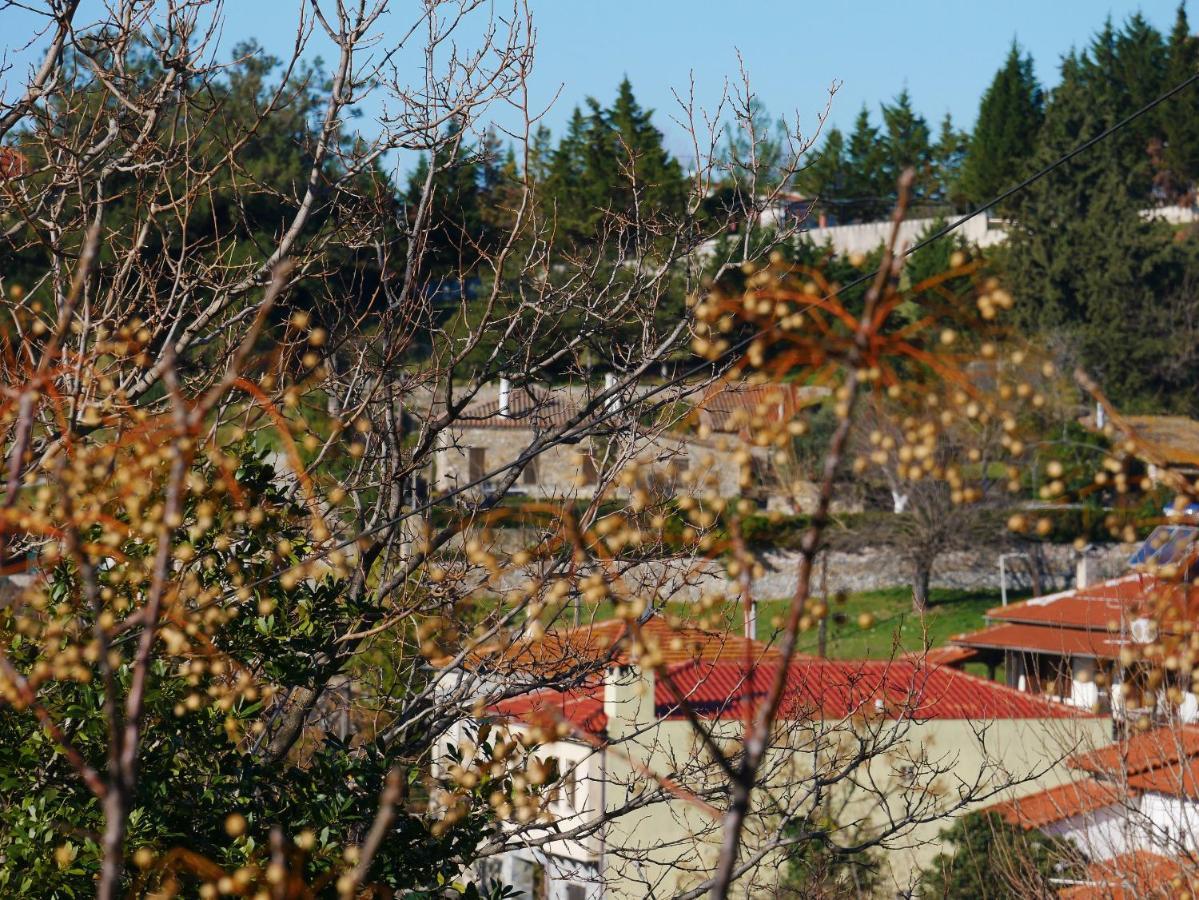 Casa Di Grigoris Villa Nikiti  Luaran gambar